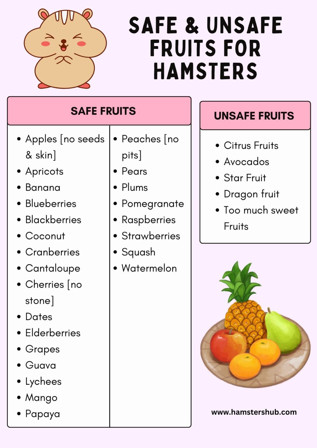 What Fruits Can Hamsters Eat? [Safe & Unsafe Fruit List] – HamstersHub