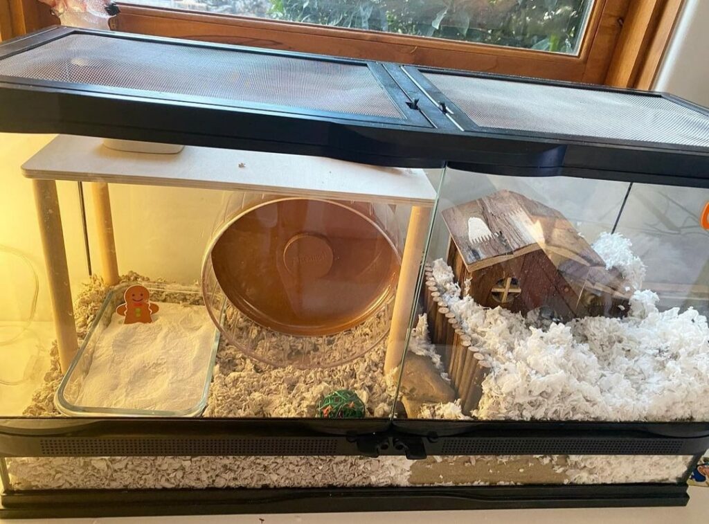 Aquarium, Terrarium, or Tank for hamsters