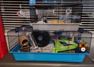 6 Different Types of Hamsters Cages [with Pros & Cons] – HamstersHub